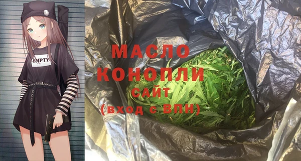 молекула духа Богородицк