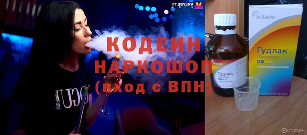 молекула духа Богородицк