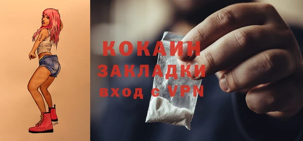 гидра Бронницы