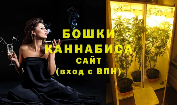 молекула духа Богородицк