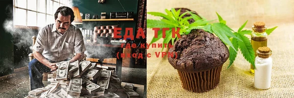 молекула духа Богородицк