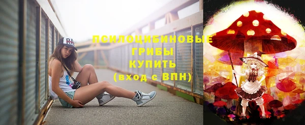 молекула духа Богородицк