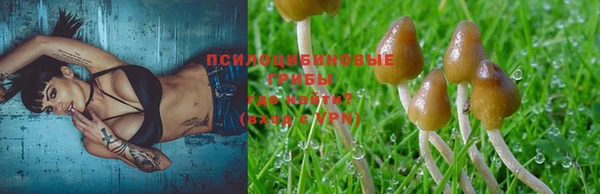 кокаин перу Богданович