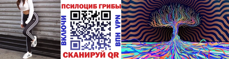 Галлюциногенные грибы GOLDEN TEACHER  маркетплейс Telegram  Нерчинск  купить наркотики сайты 